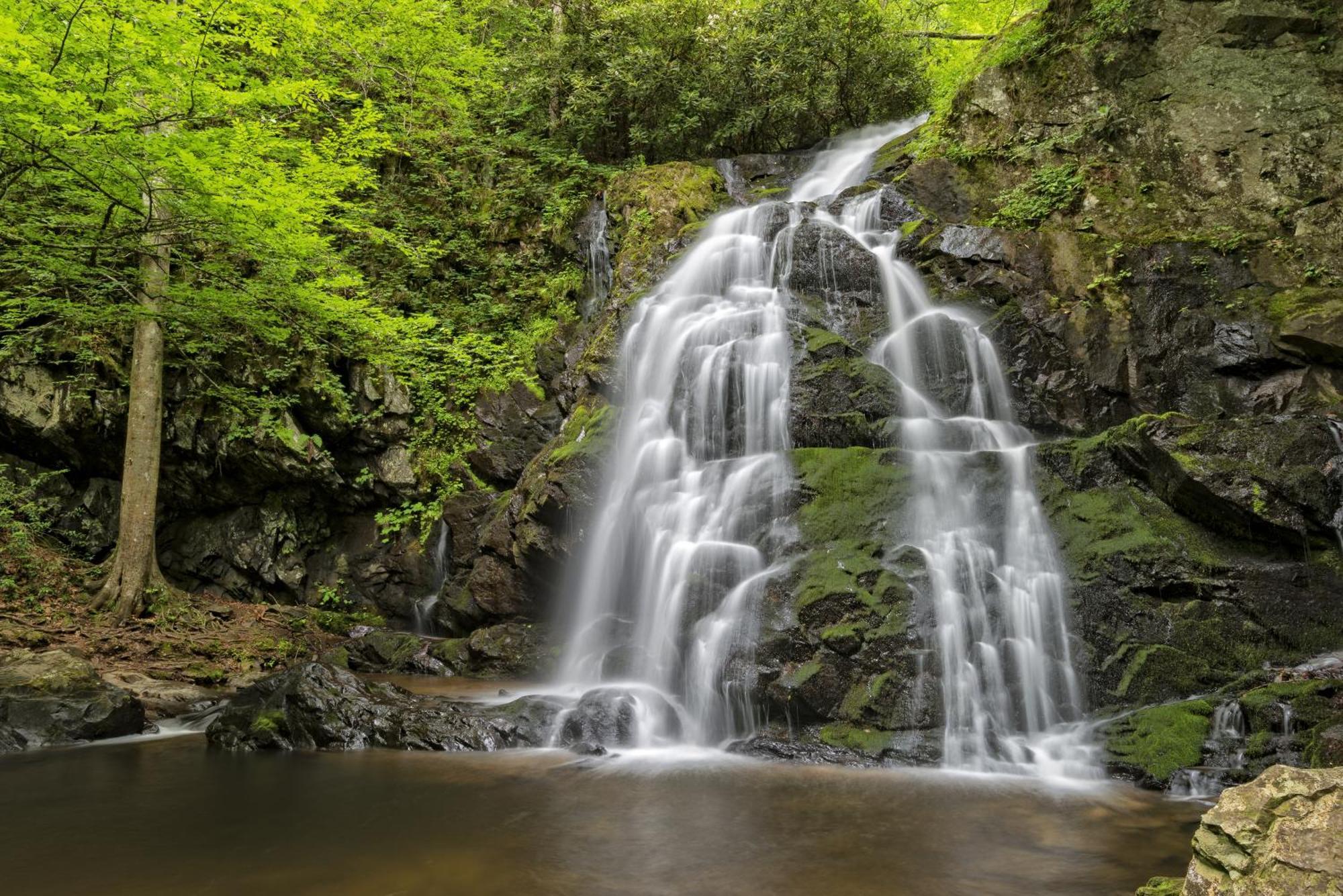 Magical Moments Villa Gatlinburg Dış mekan fotoğraf