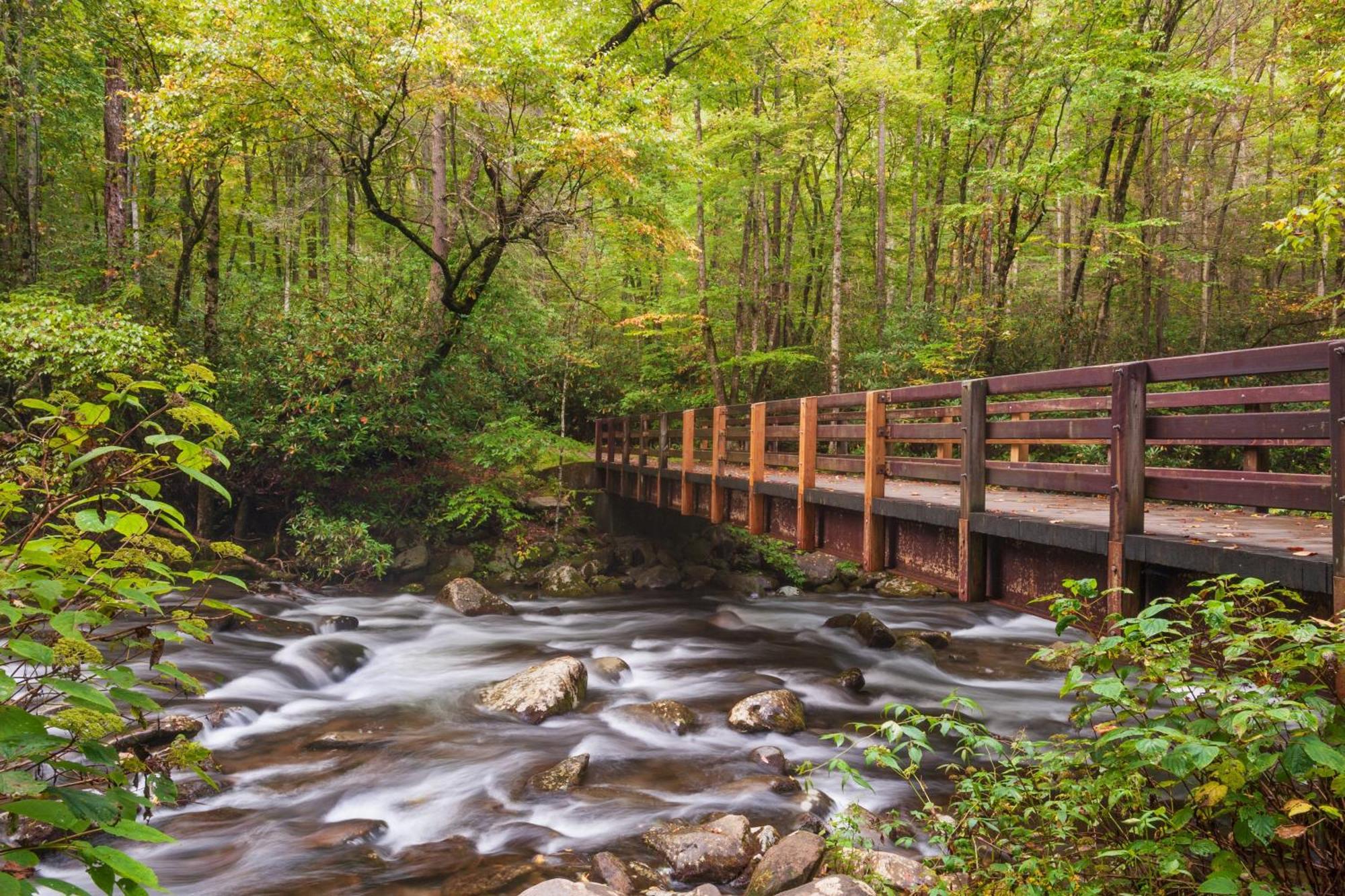 Magical Moments Villa Gatlinburg Dış mekan fotoğraf