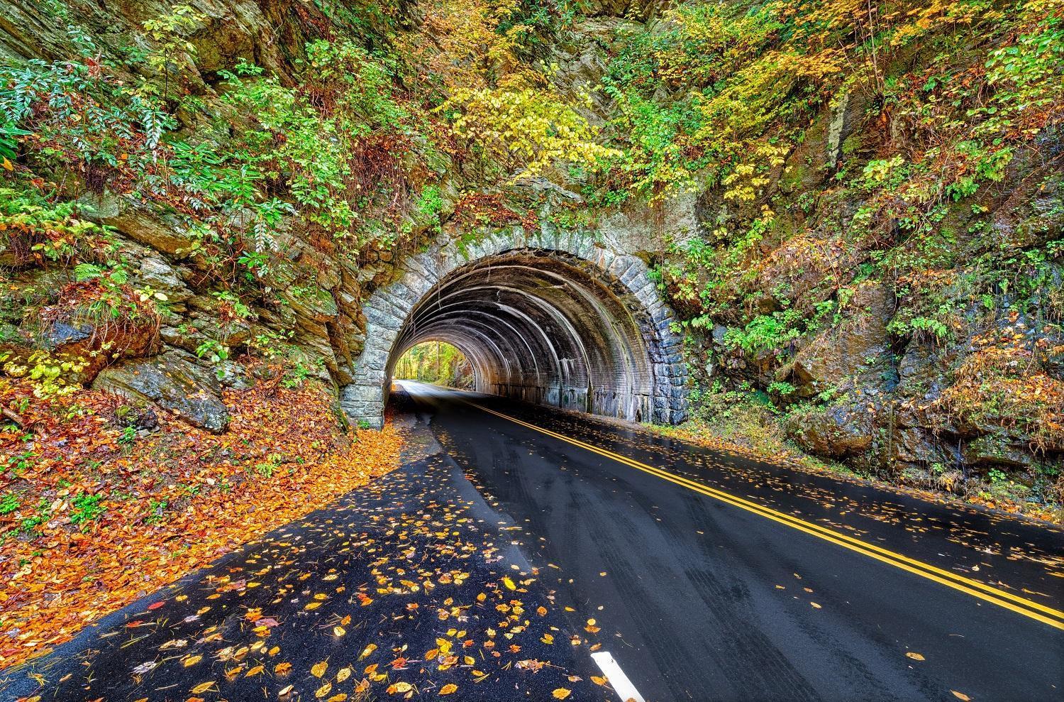 Magical Moments, Hot Tub, Wifi, 1089 Free Tickets Each Paid Day, Dollywood And More Gatlinburg Dış mekan fotoğraf